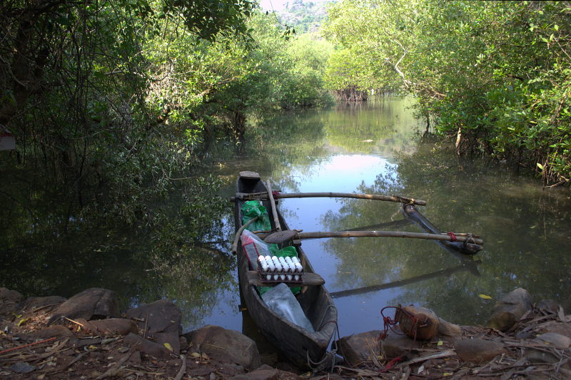 Goa-boat.jpg