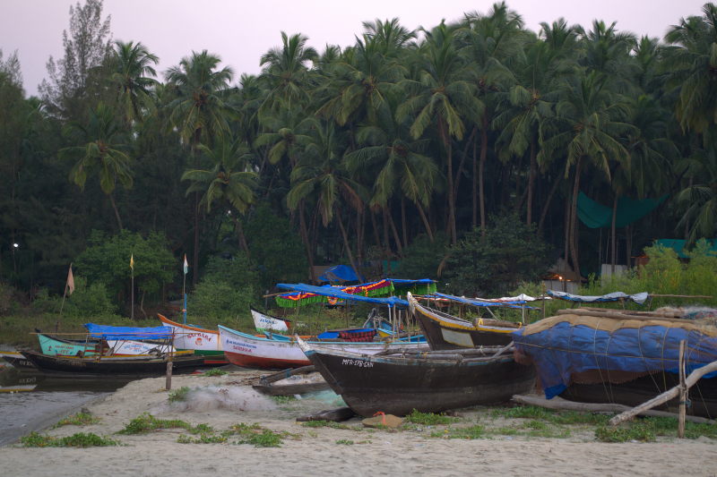 Palolem-awaiting-fishing.jpg