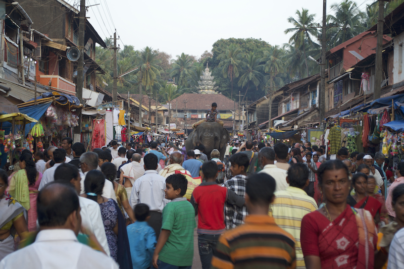 crowd-and-elephant.jpg