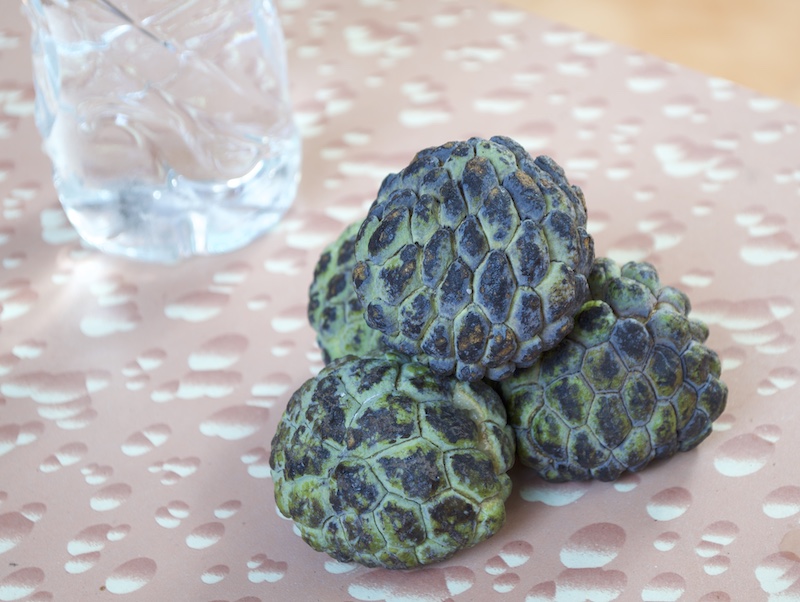 food-fresh-custard-apple.jpg