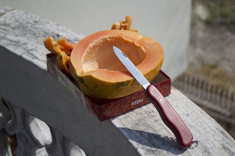 food-fresh-papaya.jpg