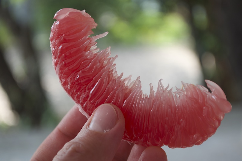 food-fresh-pomelo.jpg