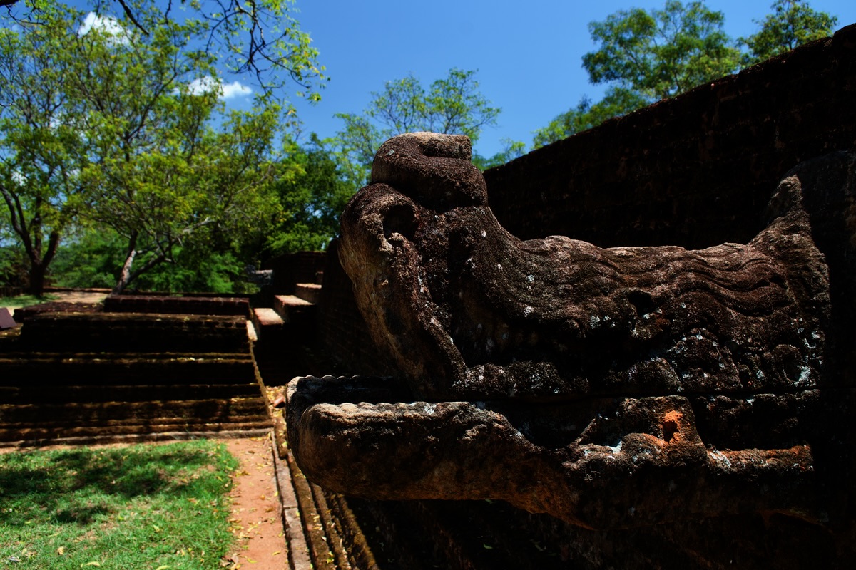 polonnaruwa-crocodile.jpg