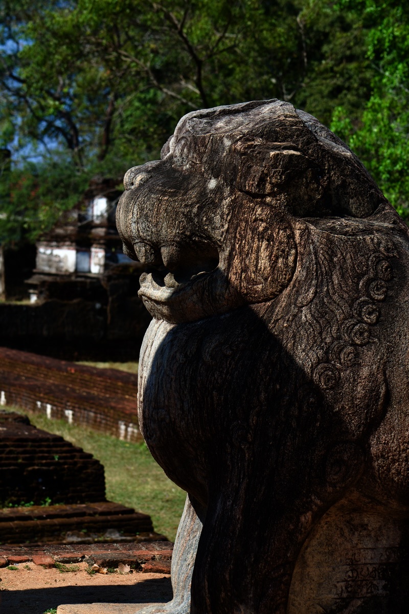 polonnaruwa-lion.jpg