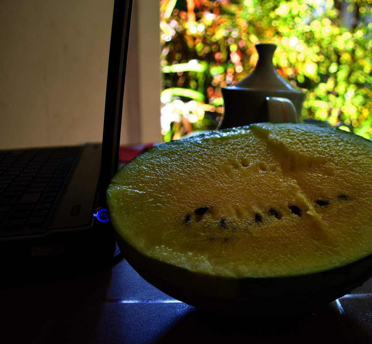 polonnaruwa-watermelon.jpg