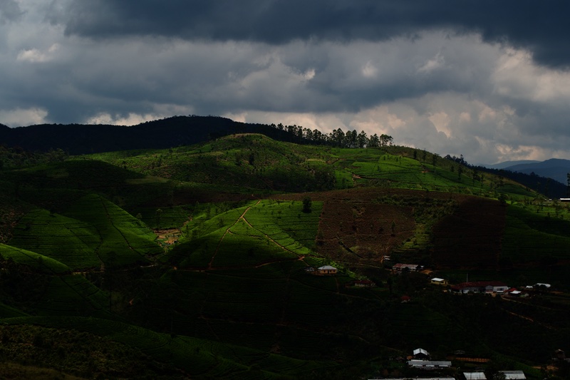 train-to-kandy-view-1.jpg