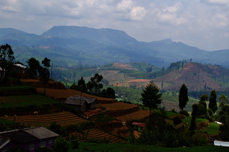 train-to-kandy-view-2.jpg