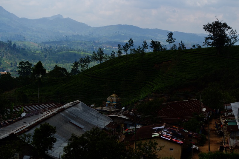 train-to-kandy-view-3.jpg